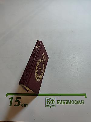 Стихи