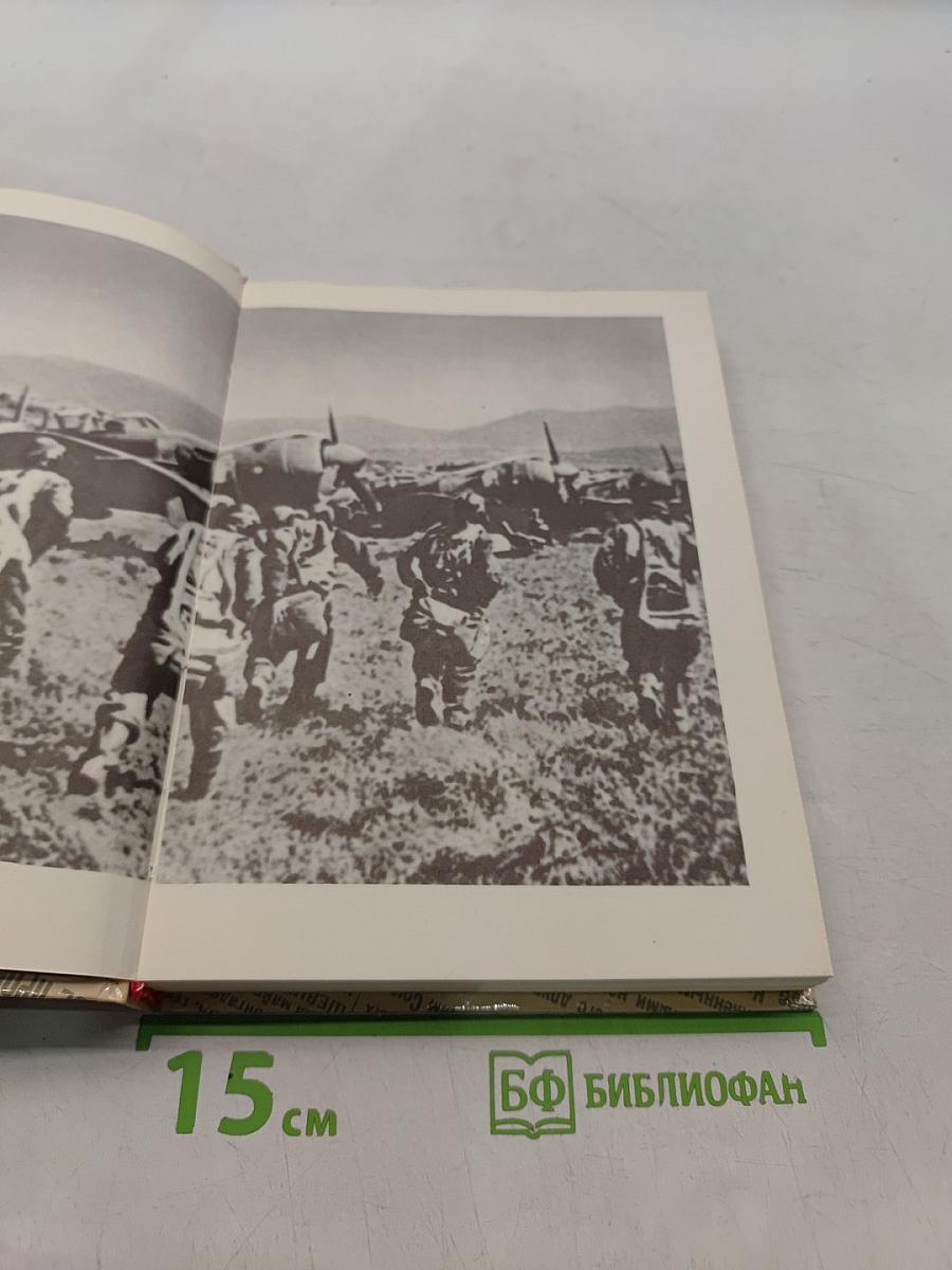 Комиссары на линии огня. В небе