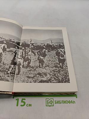Комиссары на линии огня. В небе