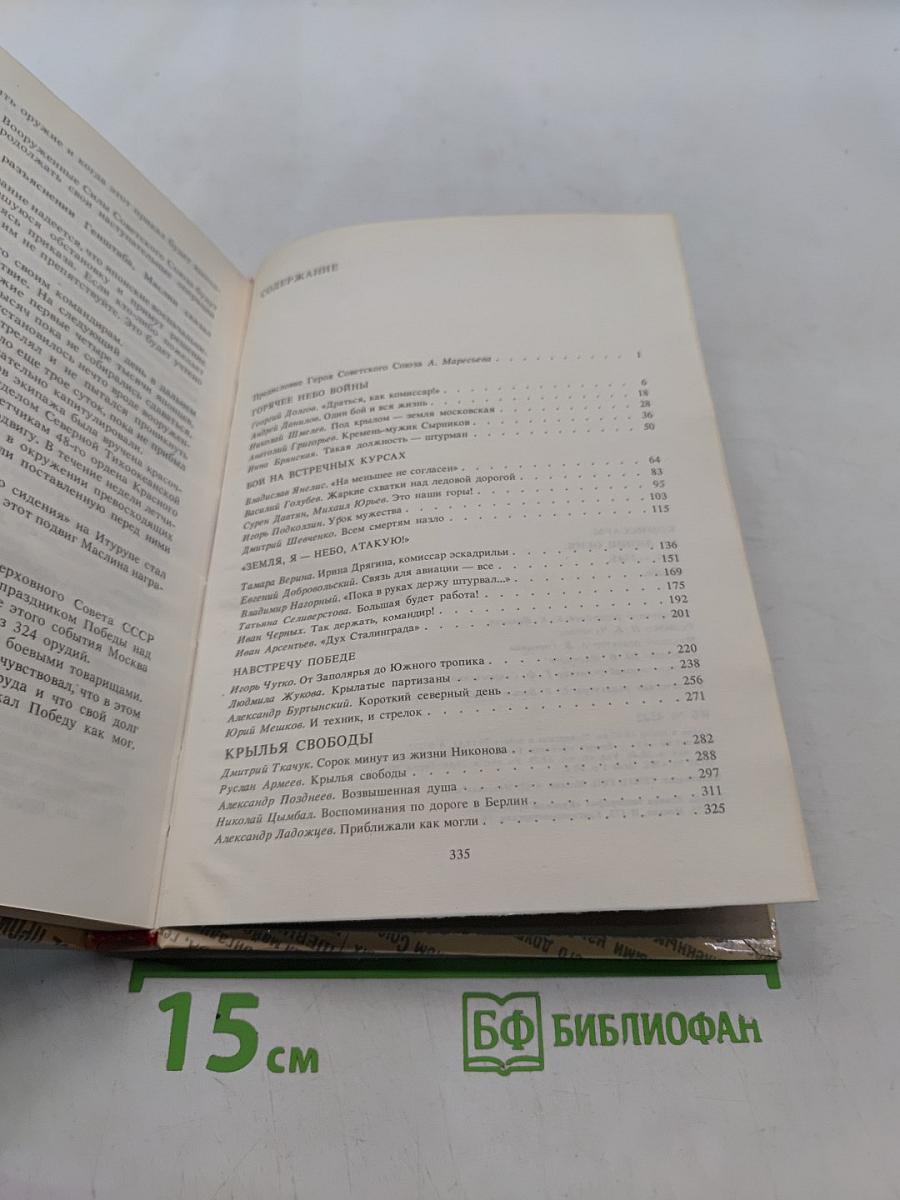 Комиссары на линии огня. В небе