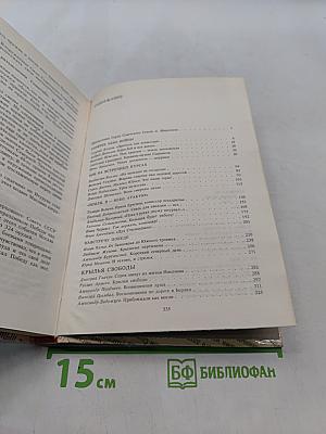 Комиссары на линии огня. В небе