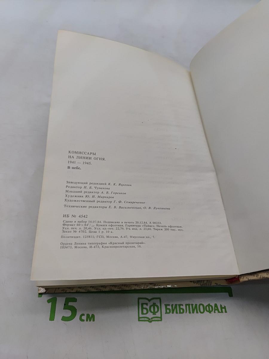 Комиссары на линии огня. В небе
