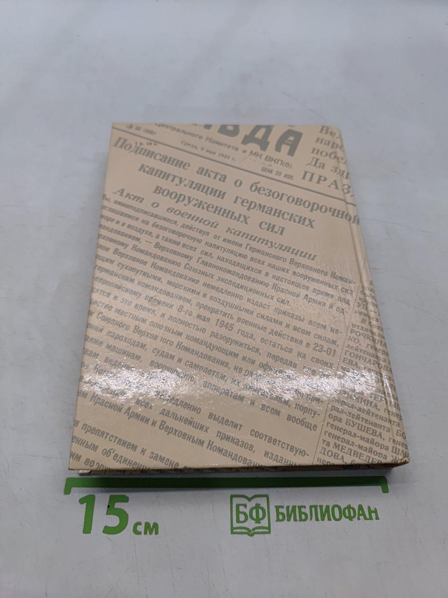 Комиссары на линии огня. В небе