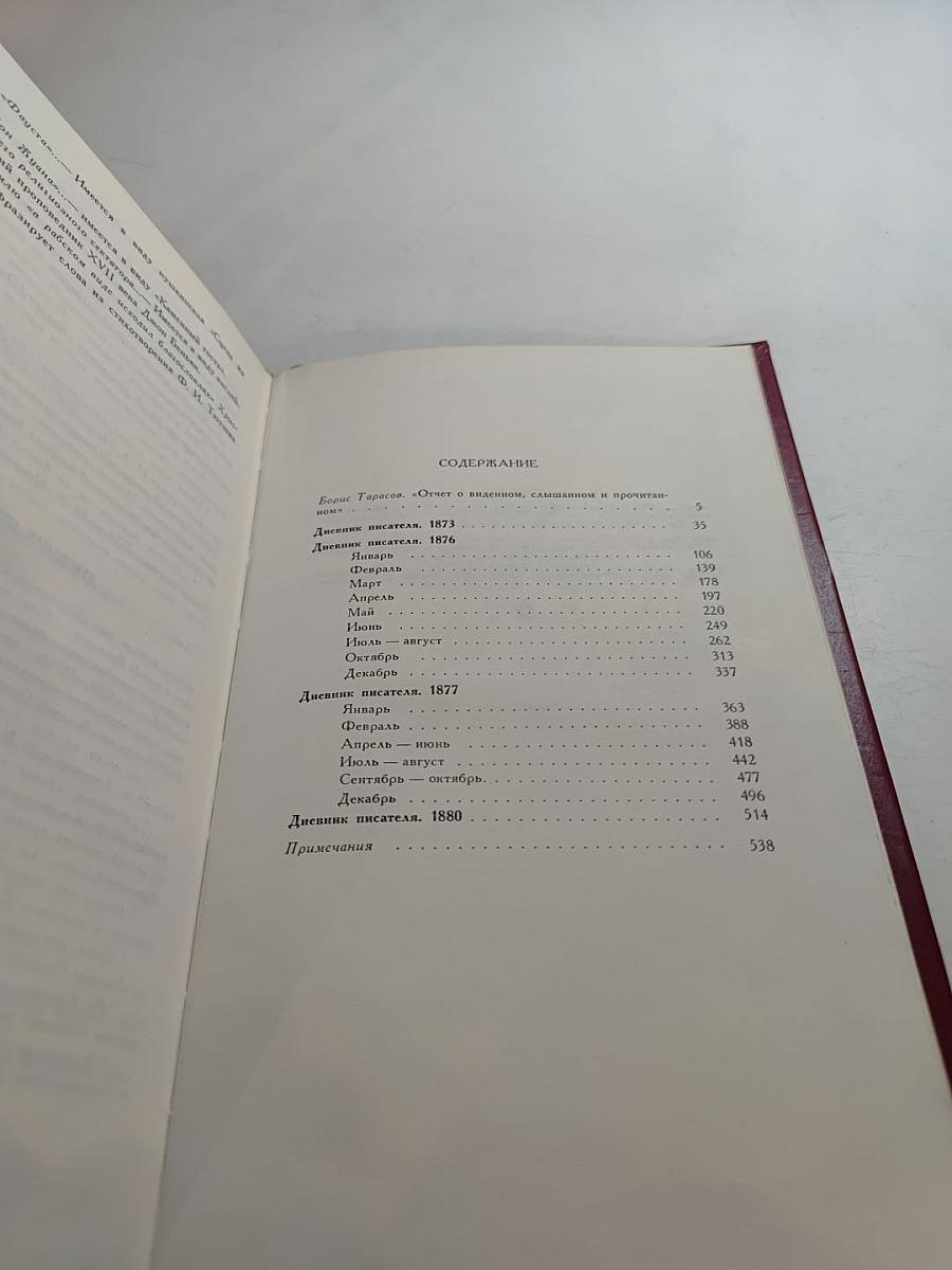 Дневник писателя: Избранные страницы