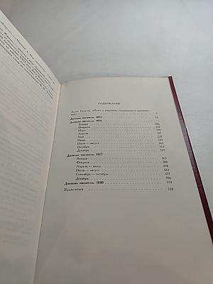 Дневник писателя: Избранные страницы