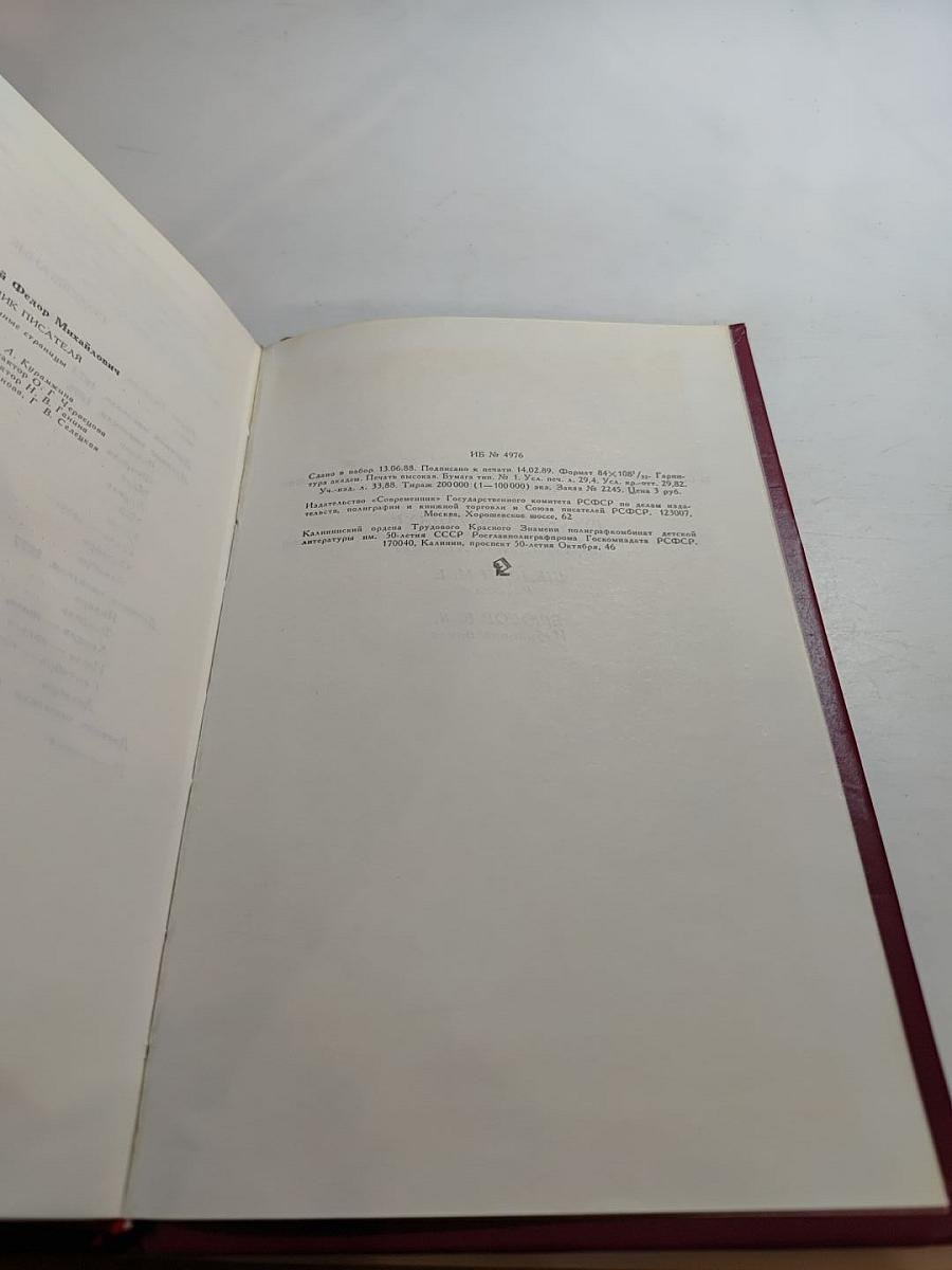 Дневник писателя: Избранные страницы