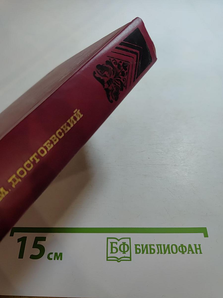 Дневник писателя: Избранные страницы