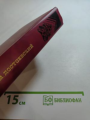 Дневник писателя: Избранные страницы