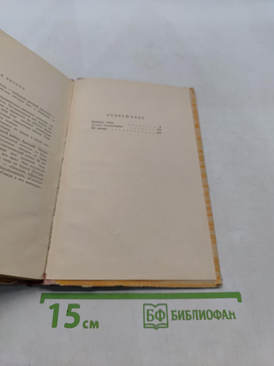 Военная тайна. Судьба барабанщика