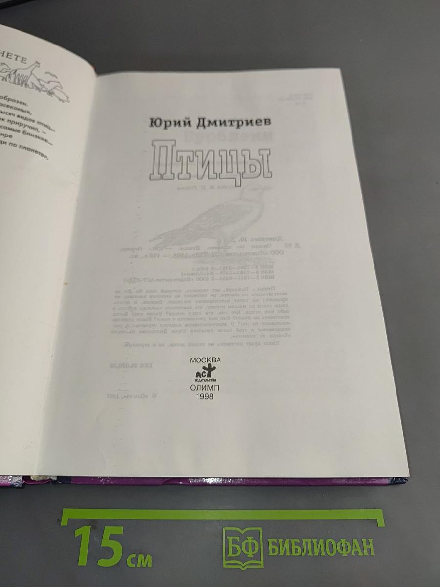 Птицы