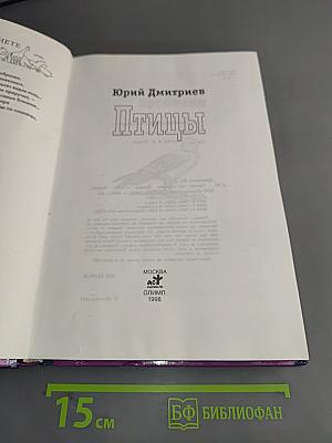 Птицы