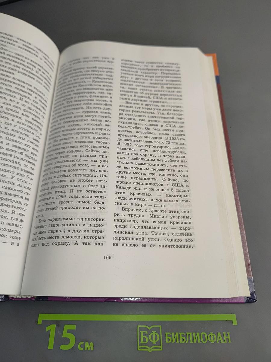 Птицы