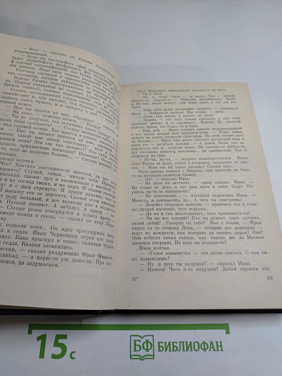 Бунташный век