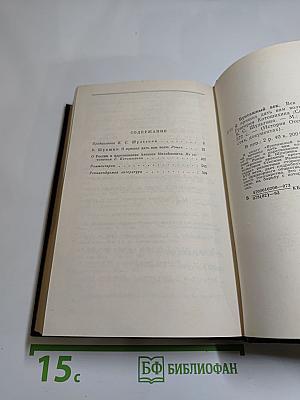 Бунташный век