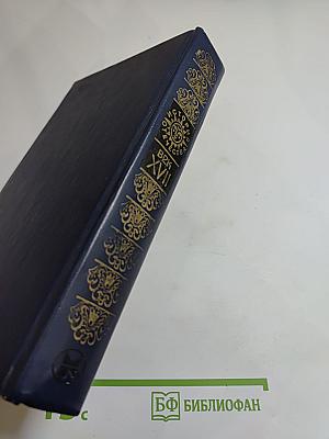 Бунташный век