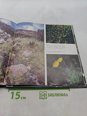 Лапландский заповедник