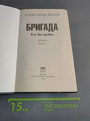 Бригада. Бой без правил. Книга 1