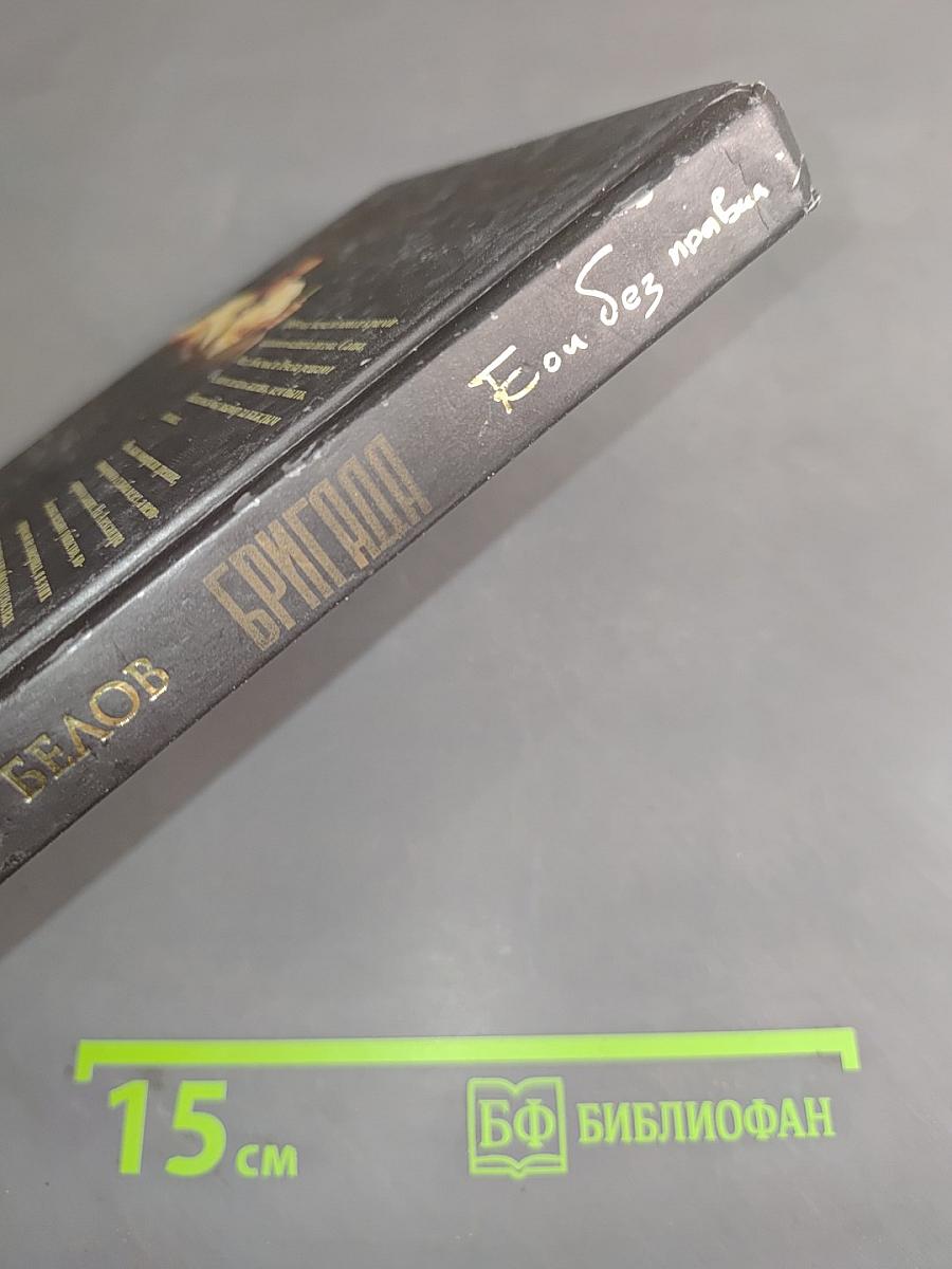 Бригада. Бой без правил. Книга 1