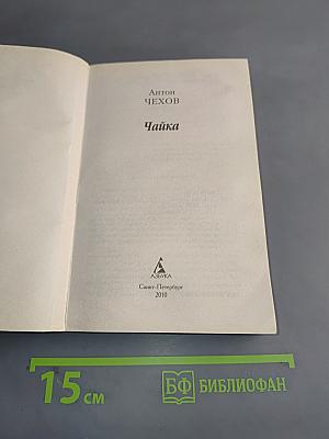 Чайка