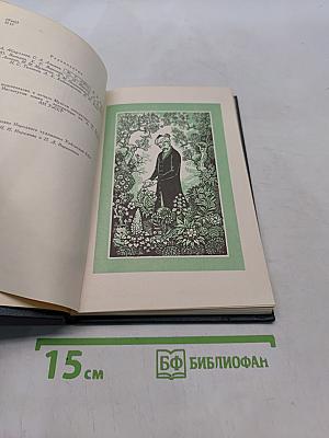 Алишер Навои. Возлюбленный сердцем. Суждение о двух языках