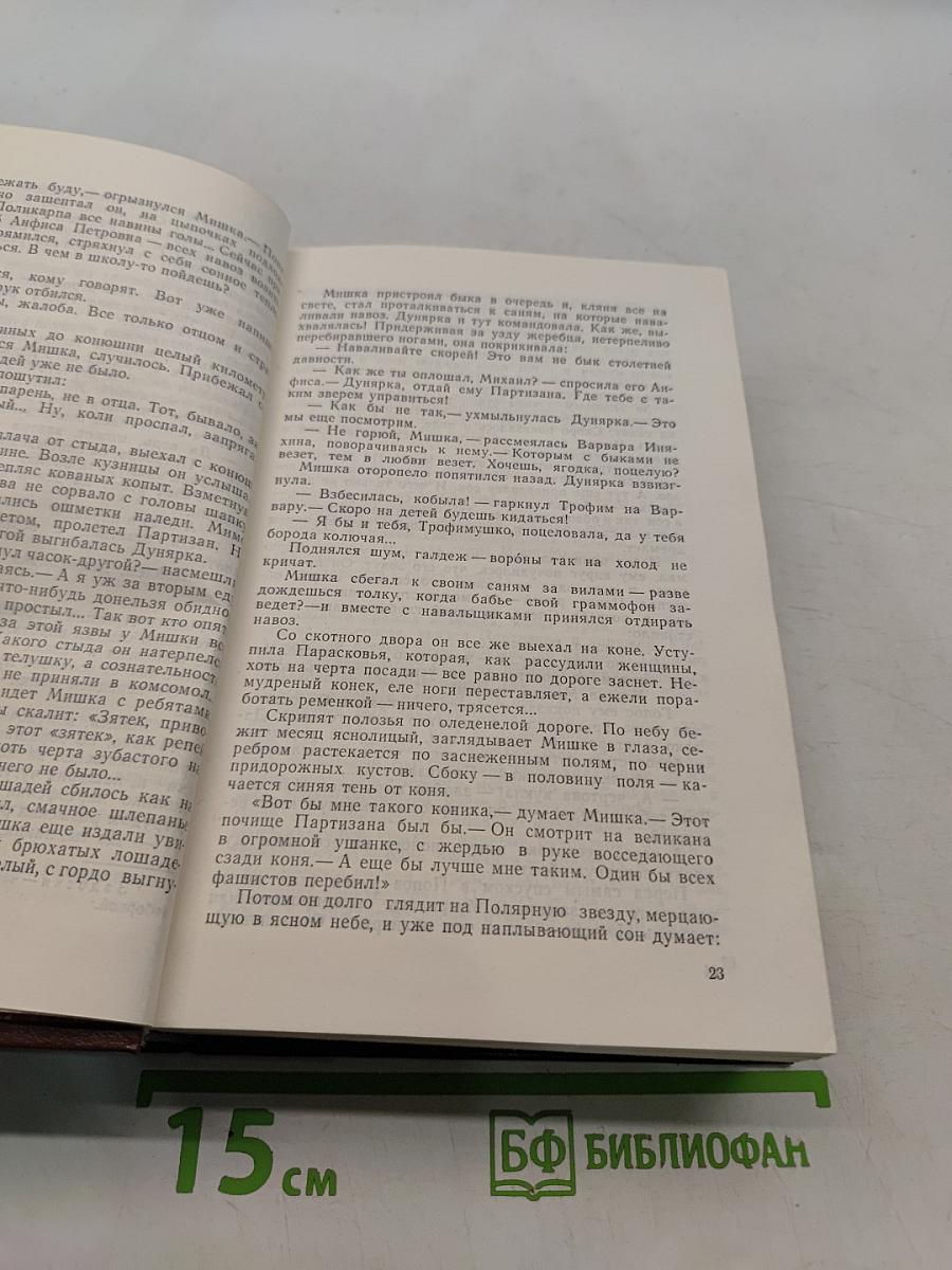 Пряслины