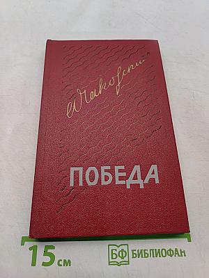 Победа. Политический роман. Книга вторая