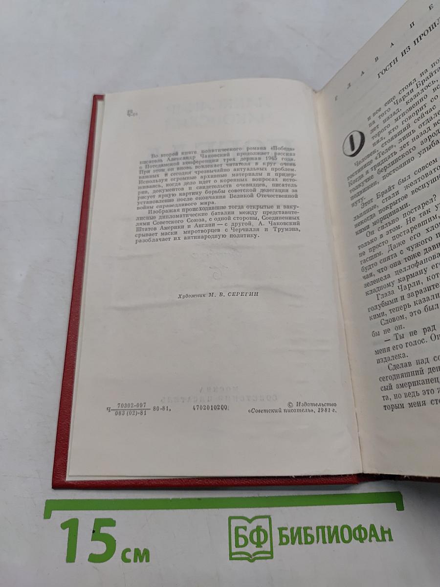 Победа. Политический роман. Книга вторая