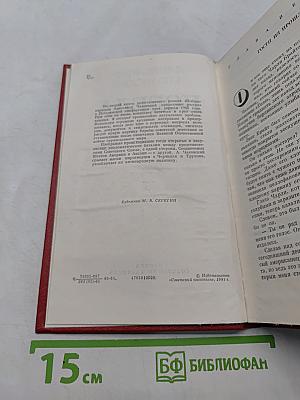 Победа. Политический роман. Книга вторая
