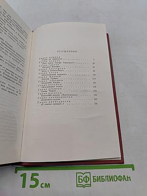 Победа. Политический роман. Книга вторая