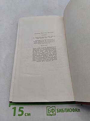 Победа. Политический роман. Книга вторая