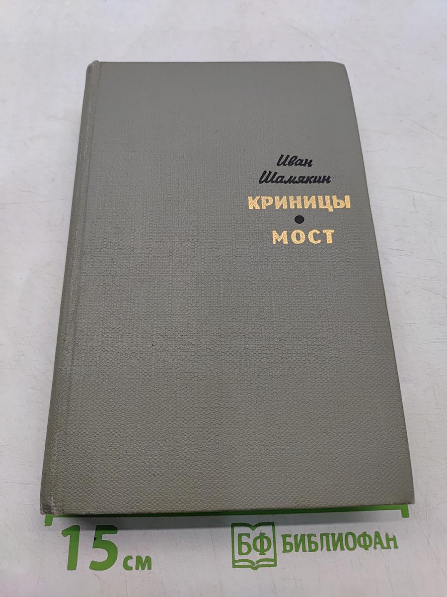 Криницы. Мост