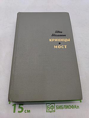 Криницы. Мост