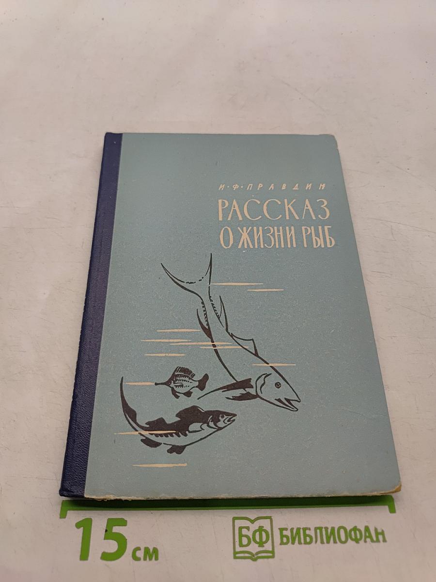 Рассказ о жизни рыб