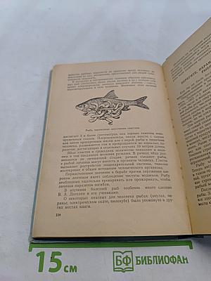 Рассказ о жизни рыб