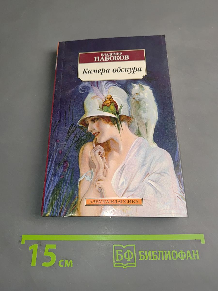 Камера обскура