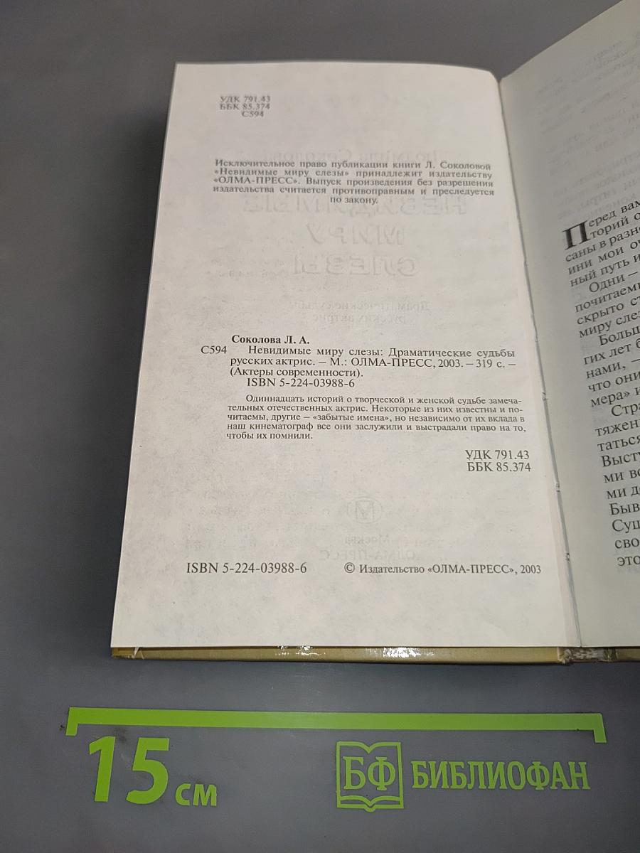 Невидимые миру слезы