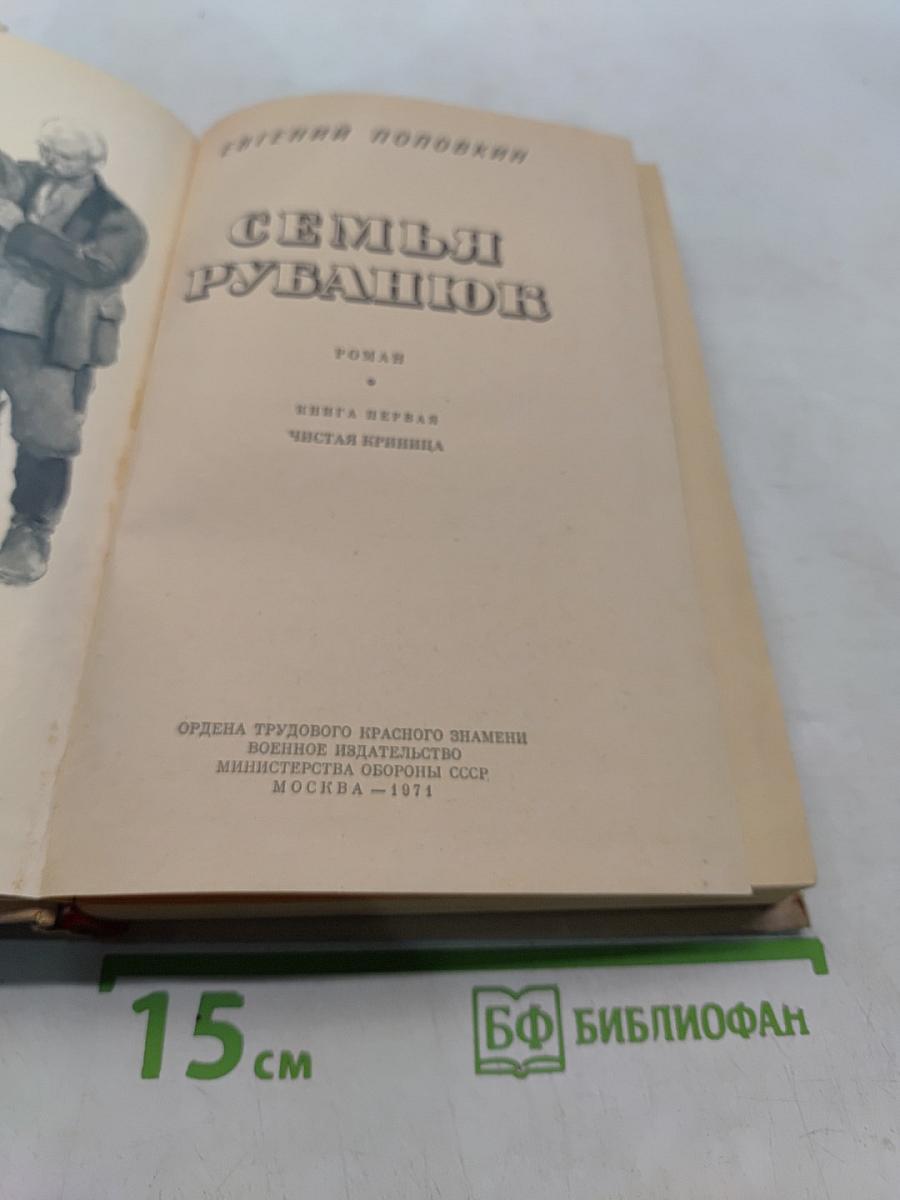 Семья Рубанюк. Книга первая. Чистая криница