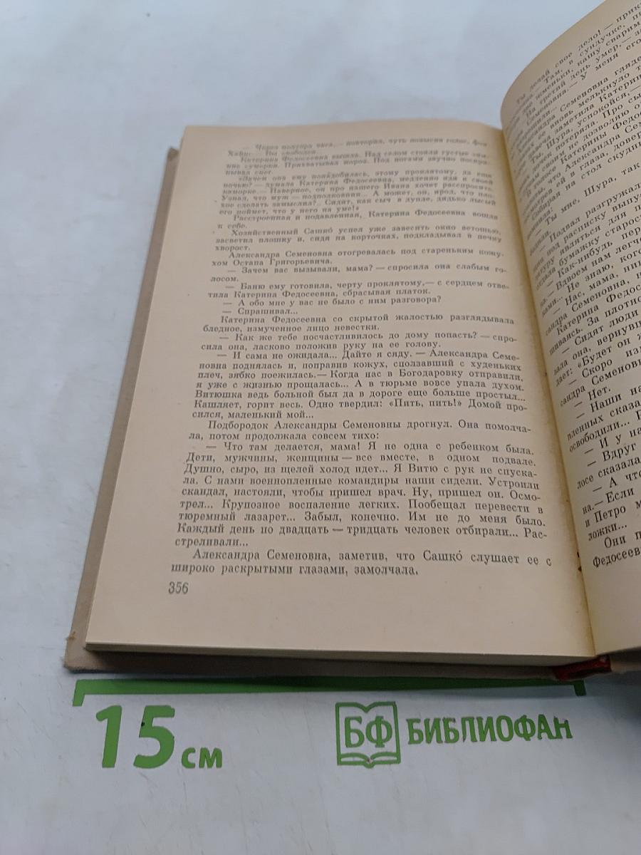Семья Рубанюк. Книга первая. Чистая криница
