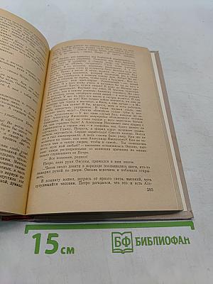 Семья Рубанюк. Книга первая. Чистая криница