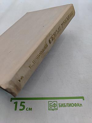 Семья Рубанюк. Книга первая. Чистая криница