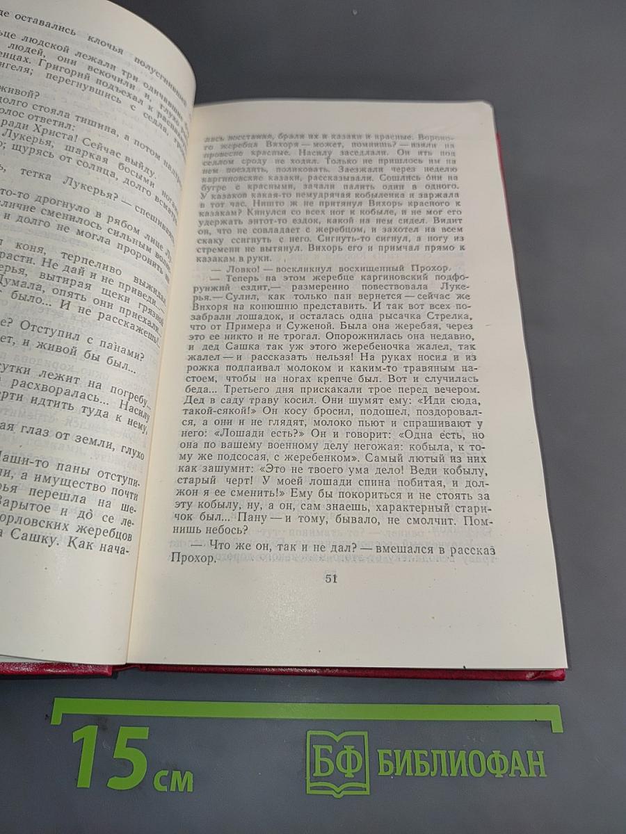 Тихий Дон. Роман в четырех книгах. Том 4