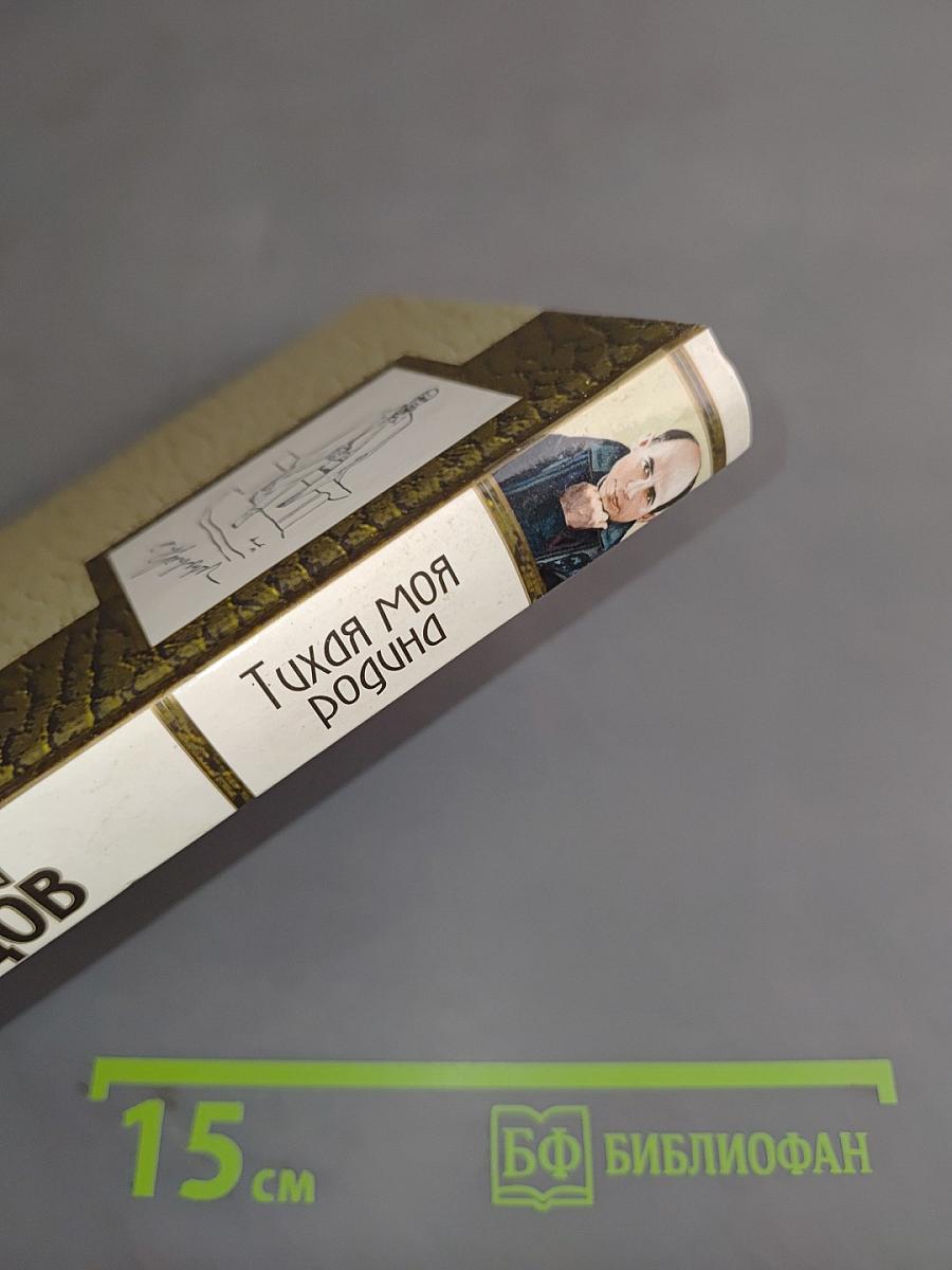 Тихая моя родина