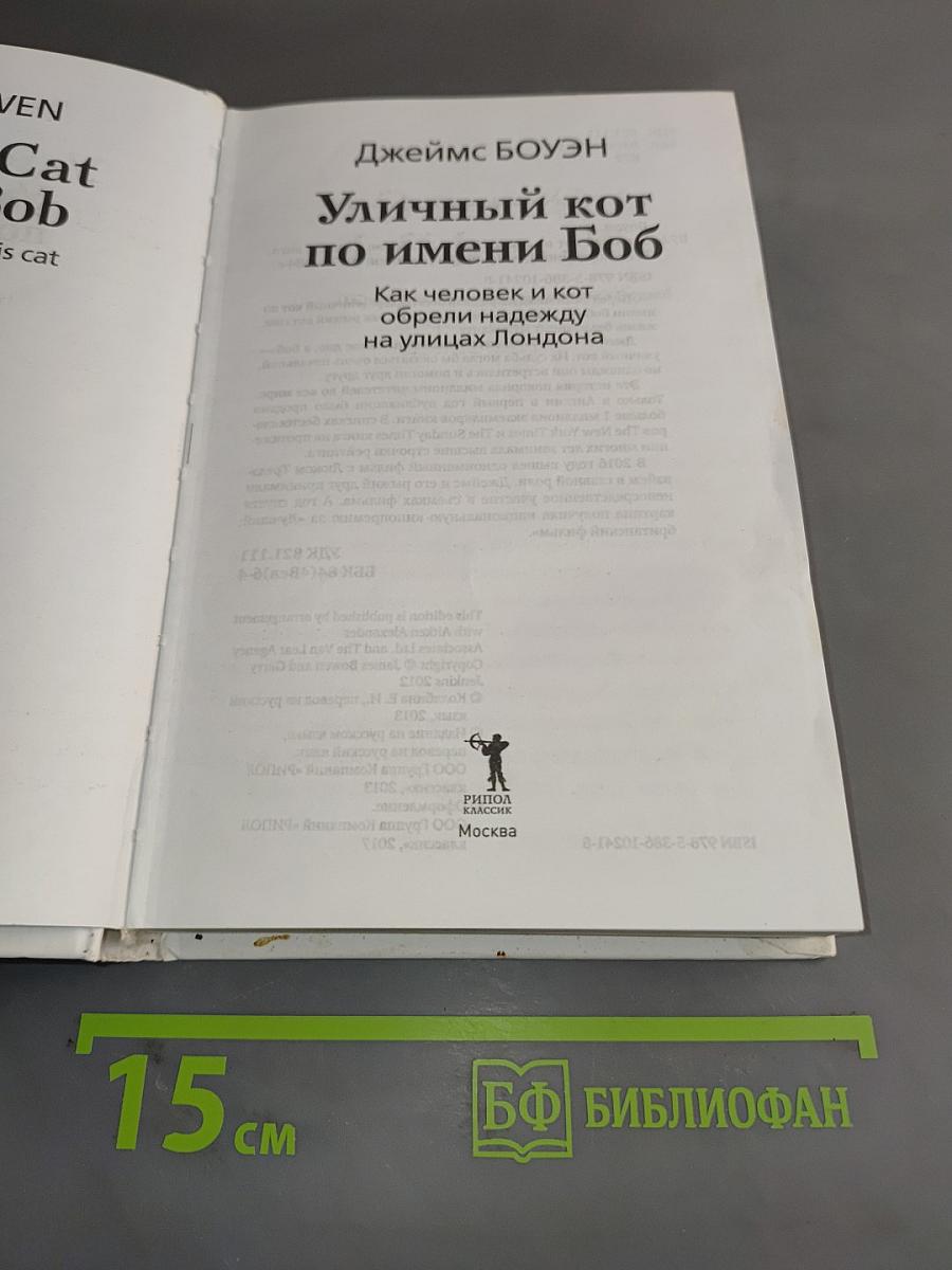 Уличный кот по имени Боб