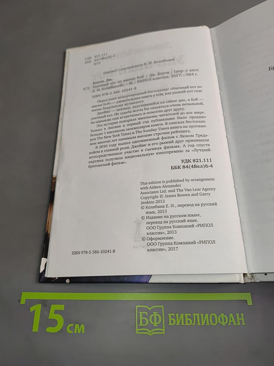 Уличный кот по имени Боб