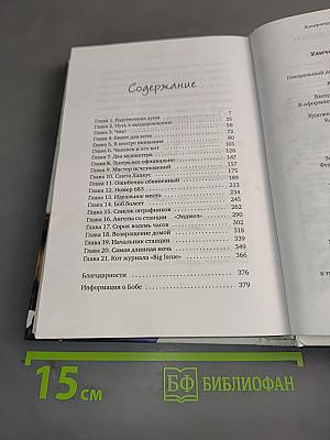 Уличный кот по имени Боб