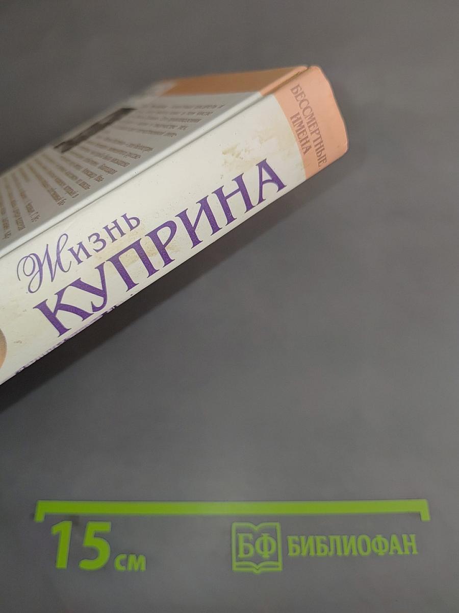Жизнь Куприна. «Мне нельзя без России»