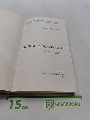 Лицом к опасности