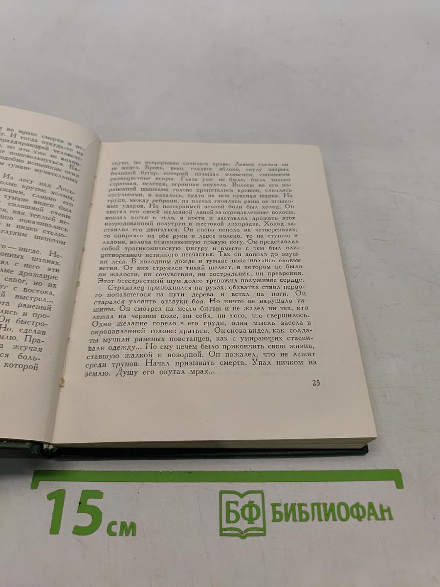 Верная река. Семейное предание