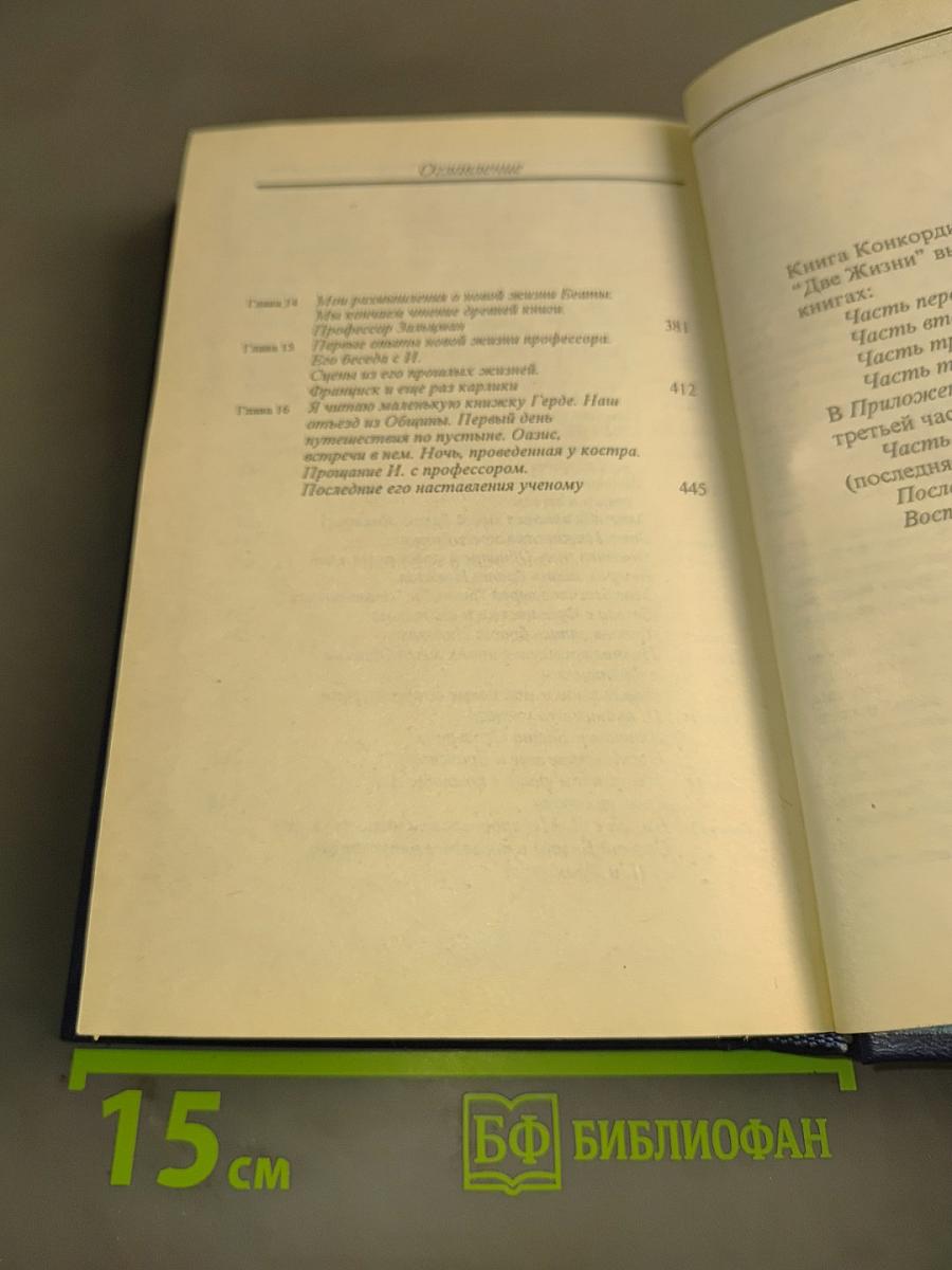 Две жизни. Часть III. Книга первая