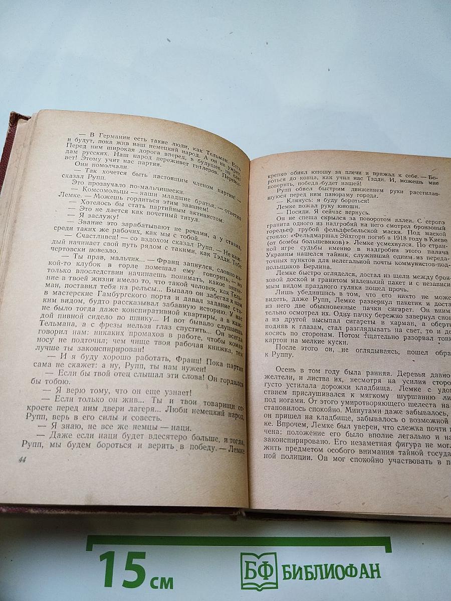 Поджигатели. Роман. Книга первая
